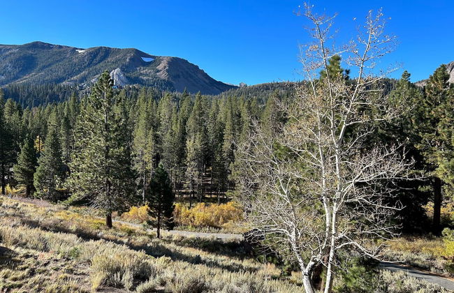 Inviting Mountain Retreat Steps From Ski Lifts! - Foto 46