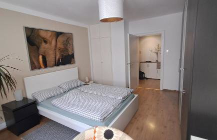 Wohnung Medicus, 3 ZKB, Balkon, Garten, nähe Stadtpark, ruhig - Photo 5