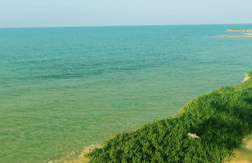 Frosso's Sea Apartments - Foto 49