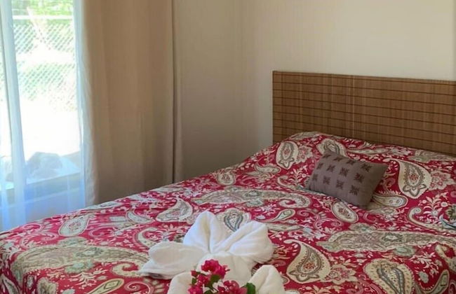 Morning Glory - Foto 15