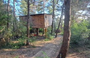 TreeHouses Ljubač Glamping Robinson - Foto 28