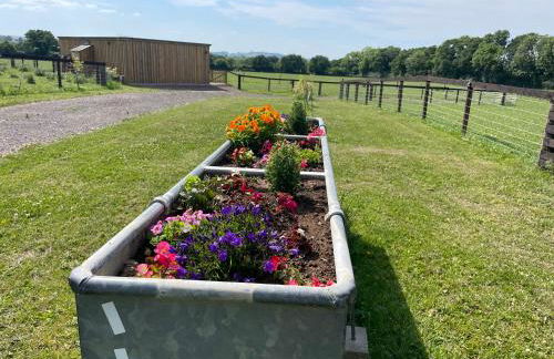 Mallard s Retreat - Photo 6