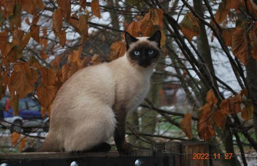 Siedlisko na Górce - Foto 50