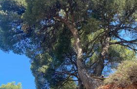 F R Apartment - Foto 29