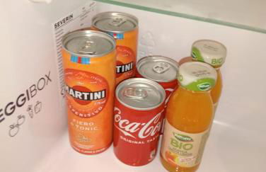 Lyon Vischi - Foto 16