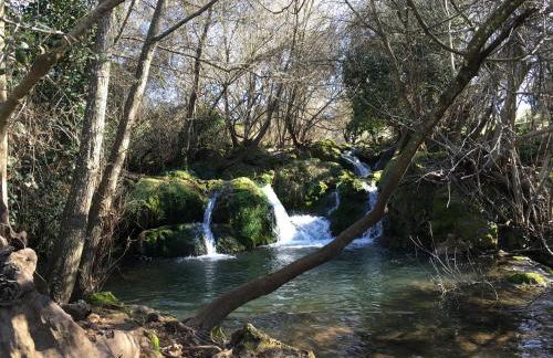 Casa Rural Nacimiento del Huéznar - Tomillo 23 - Foto 36