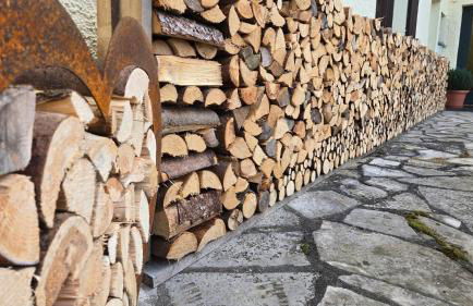 Ferienwohnung Aschenbrenner - Photo 13