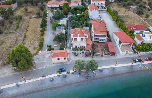 Oasis Studios AG PANTES - Photo 21