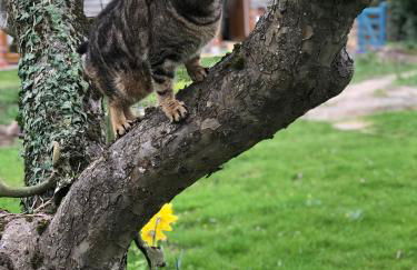 Archers Cottage - Foto 24