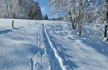 Haus Föhrenbach - Foto 27