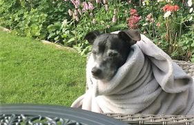 Rowanlea Lodge Hot Tub Secure Garden Pub 5 min walk - Foto 23