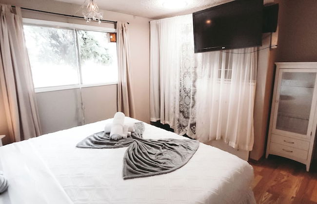 The Canary 223 - Photo 3