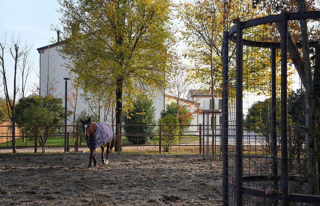 Agriturismo Corte Benetti - Foto 59