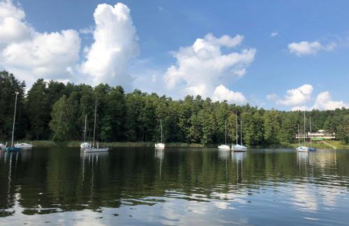 Family & Business Sauna Apartments No1 Leśny nad Zalewem Cedzyna Unikat - 3 Bedroom with Private Sauna, Bath with Hydromassage, Terrace, Garage, Catering Options - Foto 72