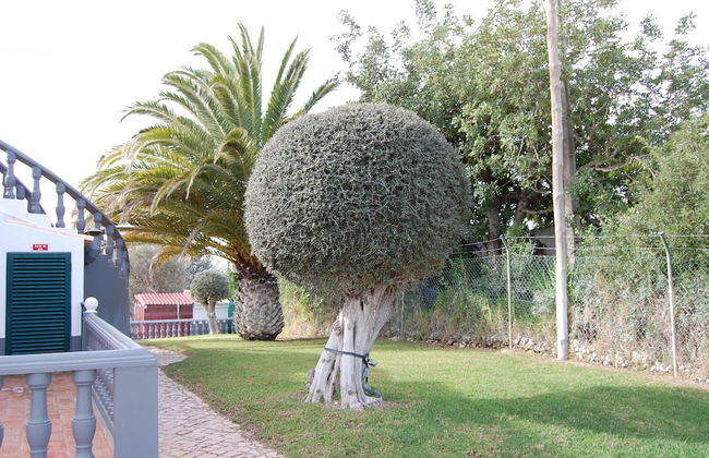 Charming 3-bedroom Villa With Wifi and Central Heating in Beautiful Santa Bárbar - Foto 40