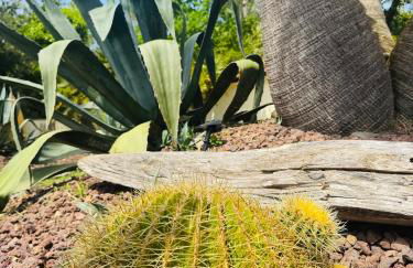 Le Chai de l'Océan - Villa Soulacaise plage à 100m Piscine Jardin 1400m2 - Foto 8