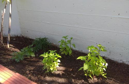 Olive mare Holidays - Foto 27