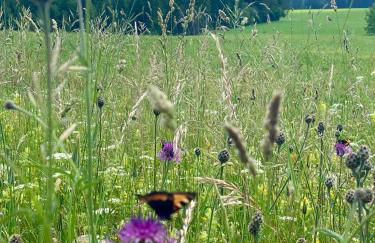 "Allgäu-Herzl" Alpenchalet für Zwei - Foto 17