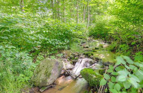 Hot Tub and Fireside Nights! Mtn-View Marshall Home - Foto 28