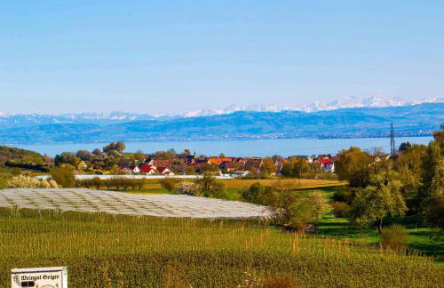 Weingut Geiger - Foto 62