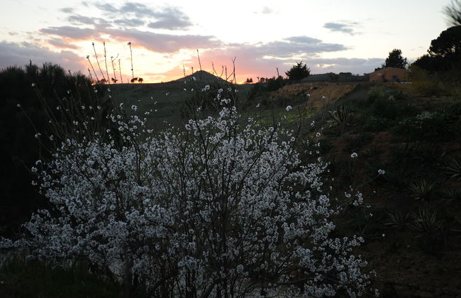 Agriturismo il Drago - Foto 39