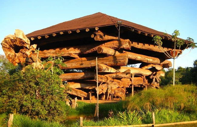 Excursión a Puerto Iguazú - Foto 2