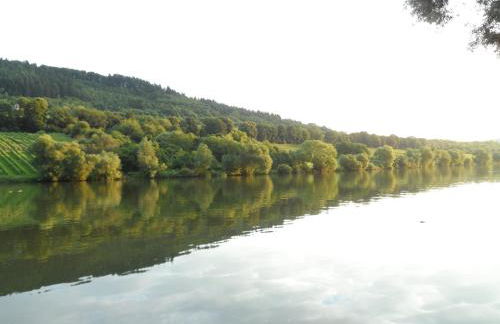 Ferienhaus am Fährkopf - Foto 31