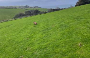 Talland view. Polperro - Foto 16