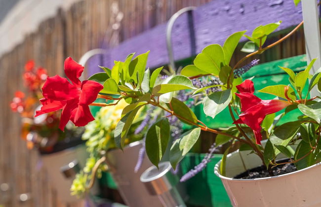 Apartment Santa - Foto 36