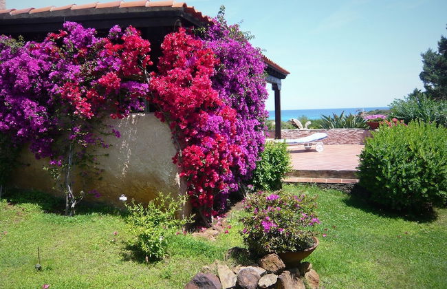 Villa Sara - Foto 12