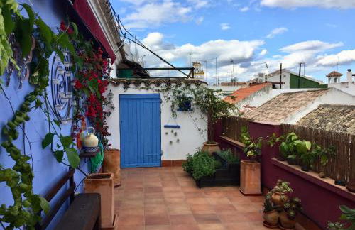 Atico Deluxe San Basilio - Foto 21