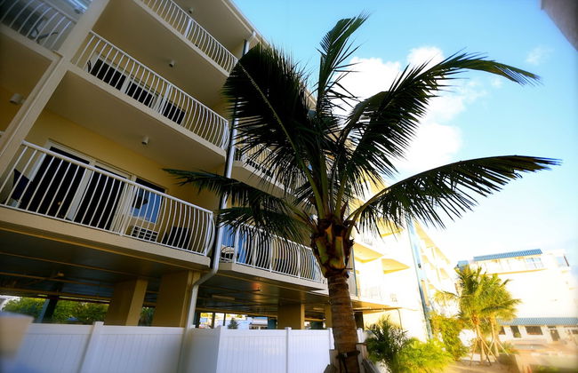 Shoreline Island Resort - Exclusively Adult - Foto 42