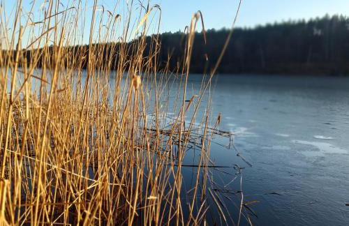 Master Camp Santoczno - Foto 68