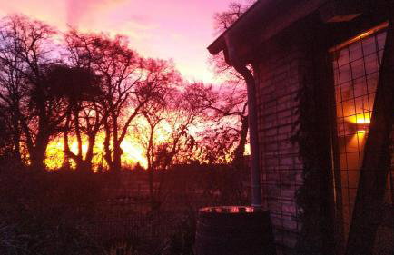 Ferienwohnung Sophienhof - Foto 22