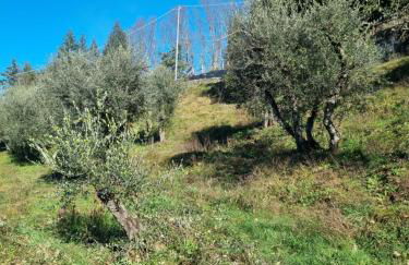 All ' ombra del lauro - Foto 19