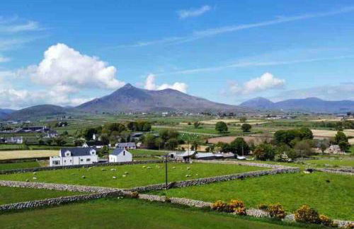 Quintenvale House - Foto 29