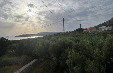 Mani Spot Nezoulas - Photo 27