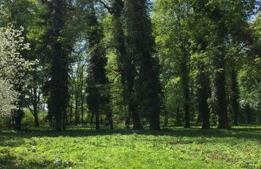 Oficyna Winiarza - Foto 31