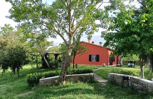 Casa Clorofilla - Umbria, Private Garden - Photo 56