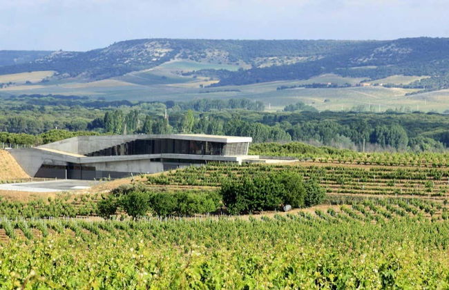 Tr3smano Winery Tour - Foto 1