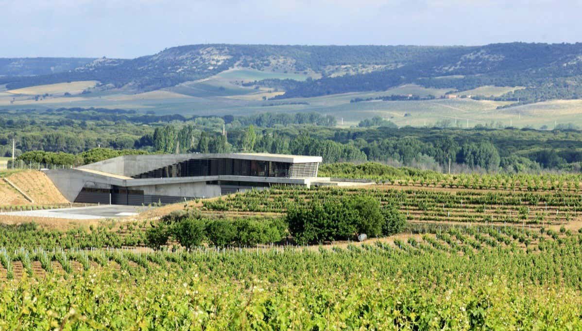 Tr3smano Winery Tour - Foto 1