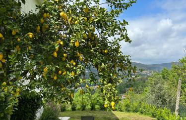 Casa de Fráguas - Foto 21