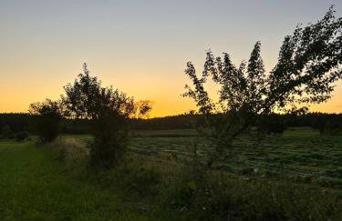 Przystanek Gałkowo - Foto 71