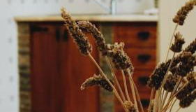 Semi-detached house in the historic center - Lagos - Foto 5