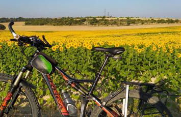 Luz de Carboneras - Foto 34