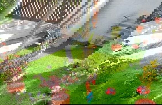 Casa Aconchegante Lazer e Descanso - Foto 2