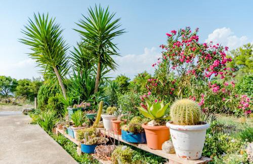 Studio Vijađ - Photo 24