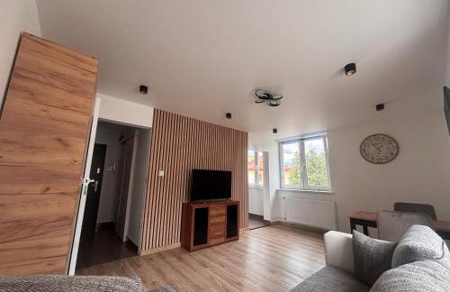 Studio 3maja - Foto 2