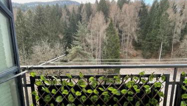 Cozy flat Pieve di Cadore - Foto 3