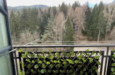 Cozy flat Pieve di Cadore - Foto 3